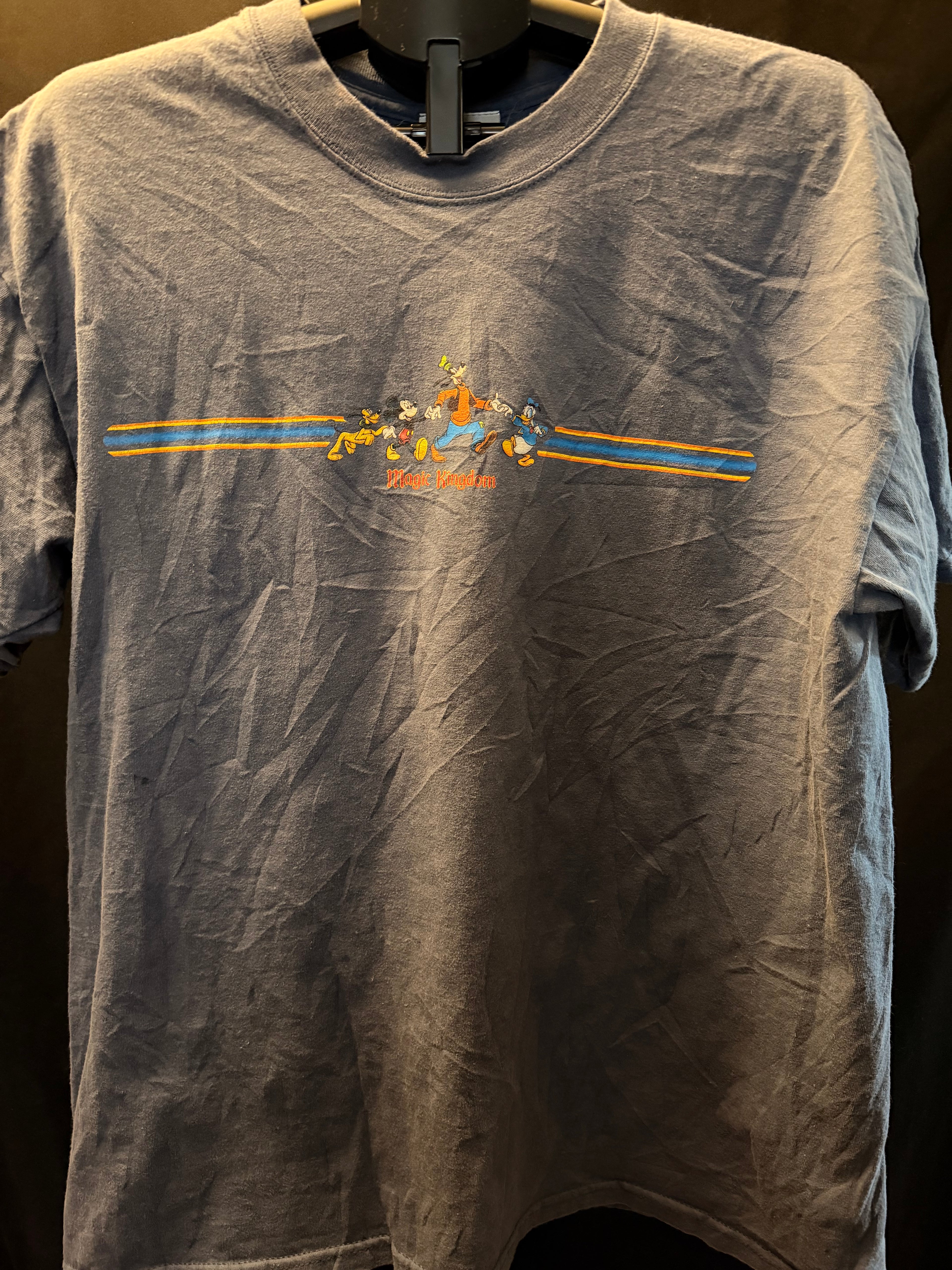 Disney Magic Kingdom Character Shirt (XL)